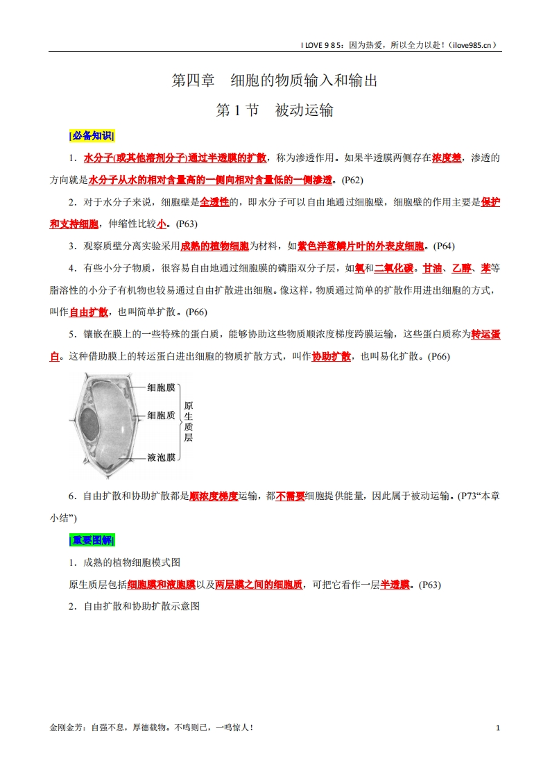 【晨读晚默】第4章细胞的物质输入和输出（背诵版）-I LOVE 9 8 5