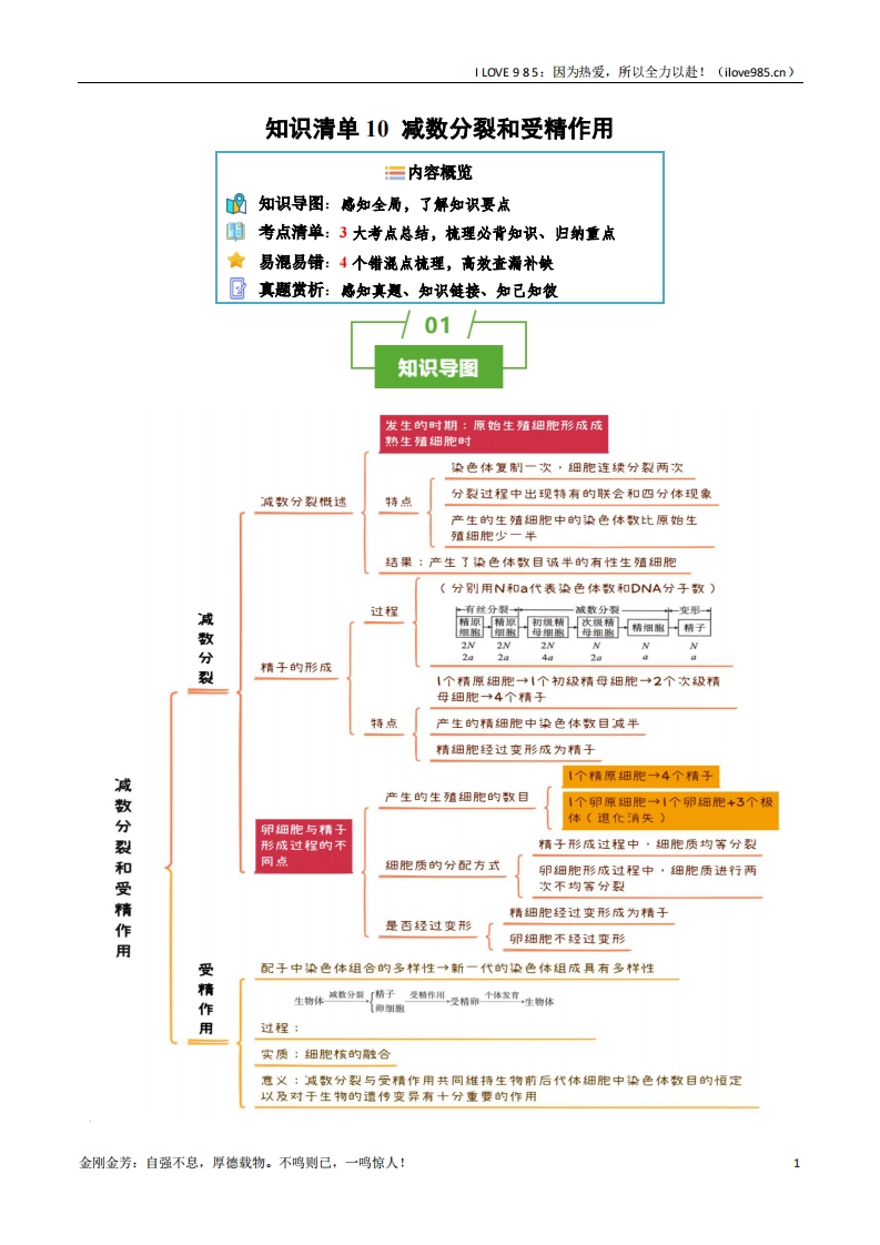 【知识清单】知识清单10减数分裂和受精作用（3大考点4个易错点）2025年高考生物一轮复习知识清单ILOVE985：因为热爱，所以全力以赴！-I LOVE 9 8 5