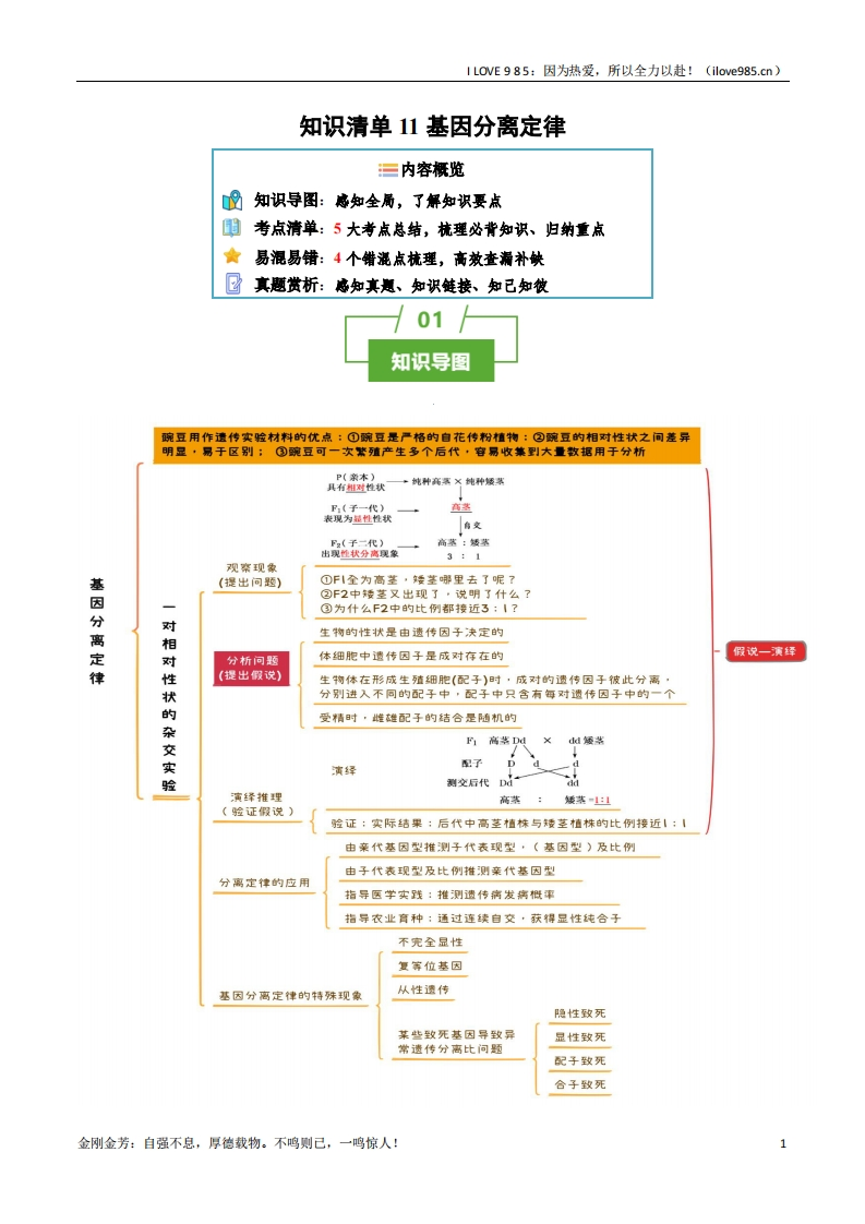 【知识清单】知识清单11基因分离定律（5大考点4个易错点）2025年高考生物一轮复习知识清单ILOVE985：因为热爱，所以全力以赴！-I LOVE 9 8 5