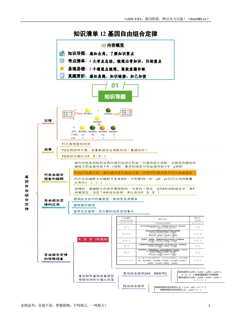 【知识清单】知识清单12基因自由组合定律（4大考点3个易错点）-I LOVE 9 8 5