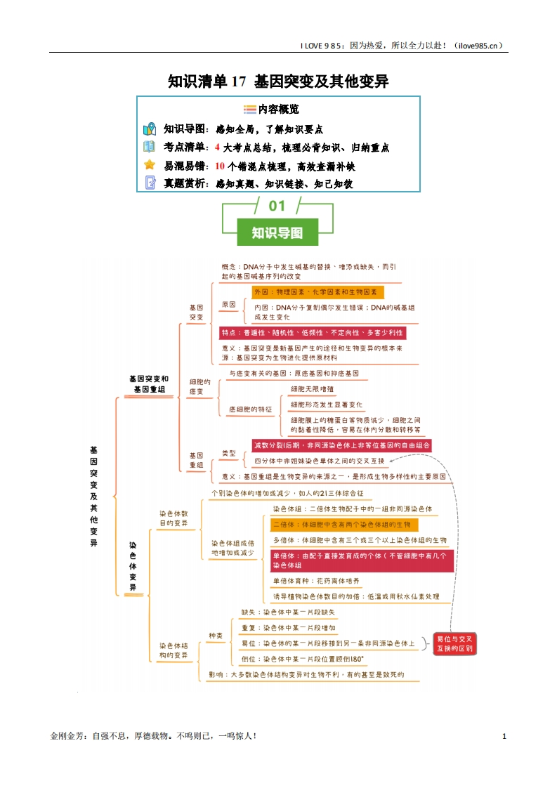 【知识清单】知识清单17基因突变及其他变异（4大考点10个易错点）2025年高考生物一轮复习知识清单ILOVE985：因为热爱，所以全力以赴！-I LOVE 9 8 5
